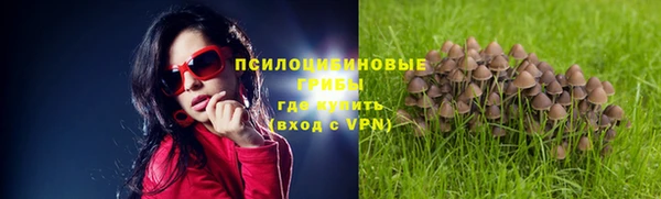 соль курить ск Белокуриха