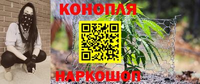 прущий лед Будённовск