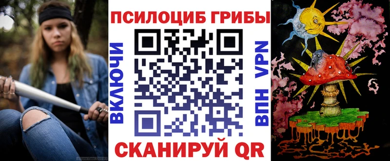 гидра онион  Вятские Поляны  Псилоцибиновые грибы GOLDEN TEACHER 
