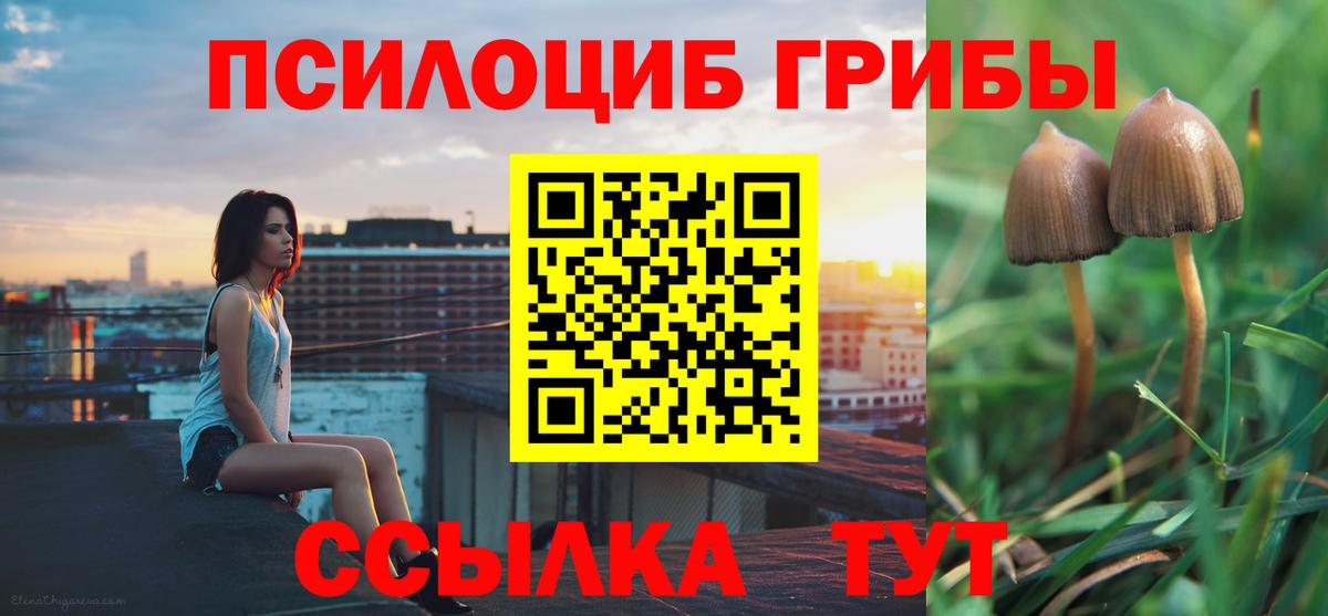 Галлюциногенные грибы MAGIC MUSHROOMS  Вход с VPN  Галлюциногенные грибы Magic Shrooms  Вятские Поляны 