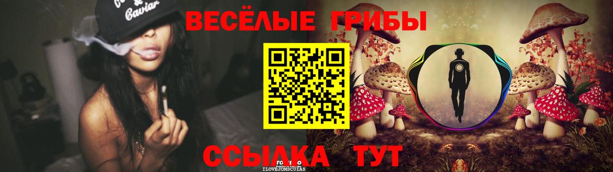 Галлюциногенные грибы Psilocybine cubensis Вятские Поляны